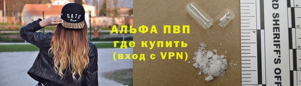 PSILOCYBIN Новозыбков