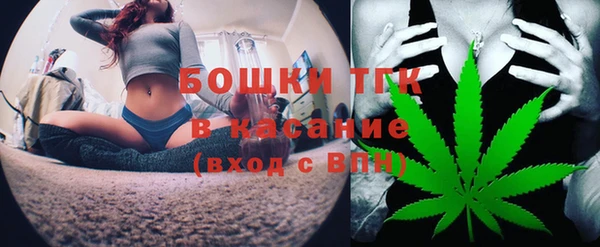 таблы Бикин