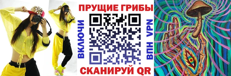 Галлюциногенные грибы Cubensis  Смоленск 